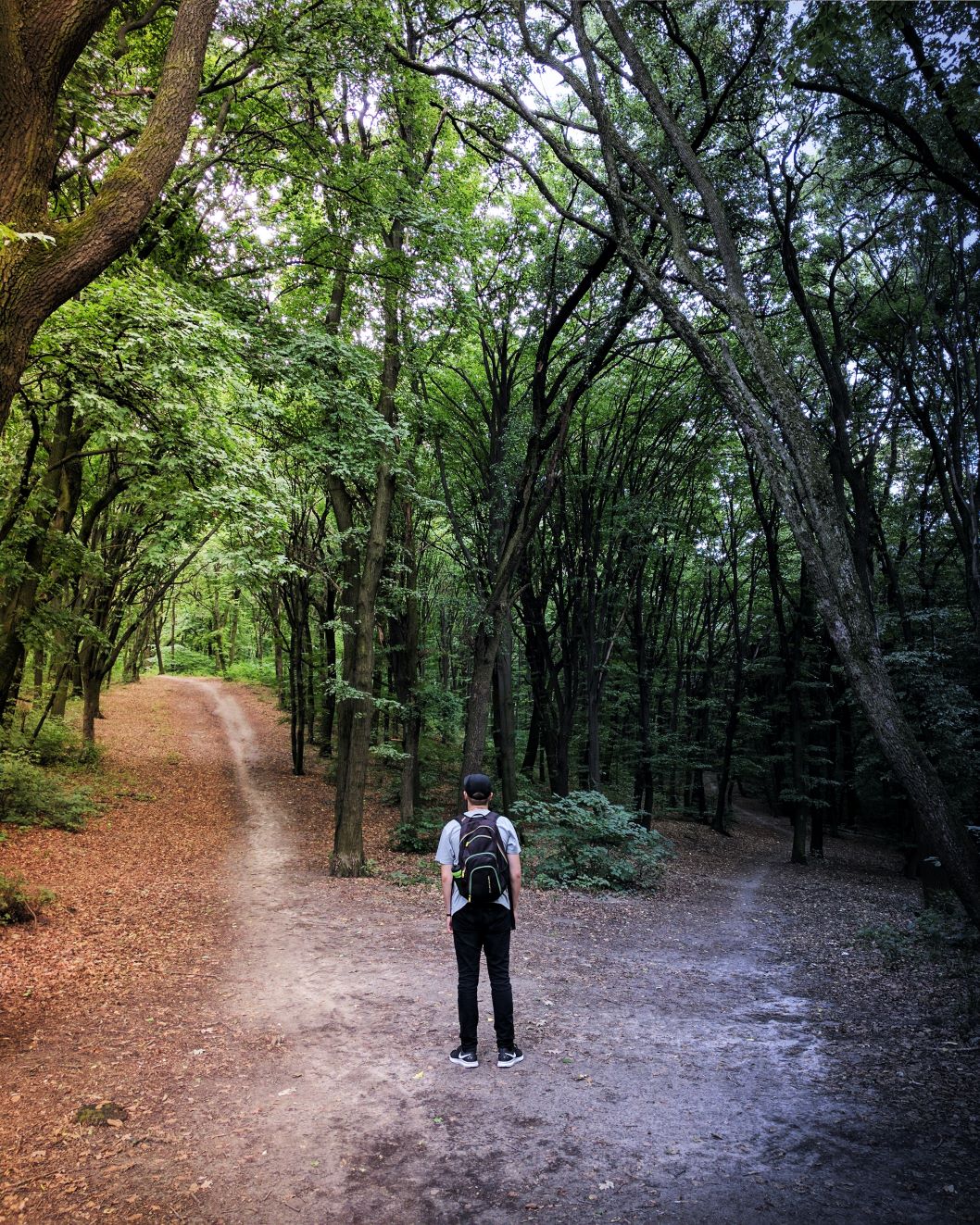 Man standing in the woods with two different pathways ahead of him.